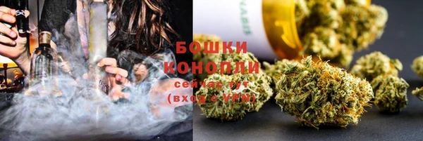 сатива Волоколамск