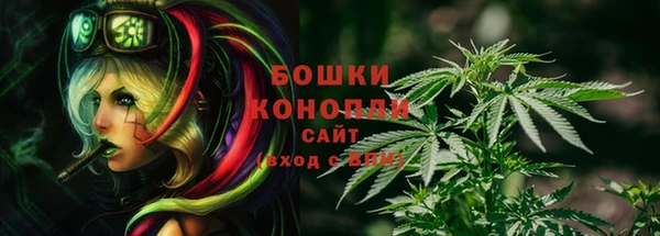 сатива Волоколамск